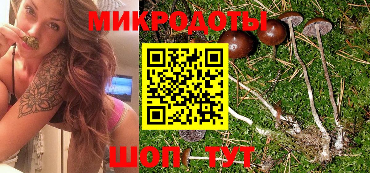 Псилоцибиновые грибы Psilocybine cubensis Бугуруслан