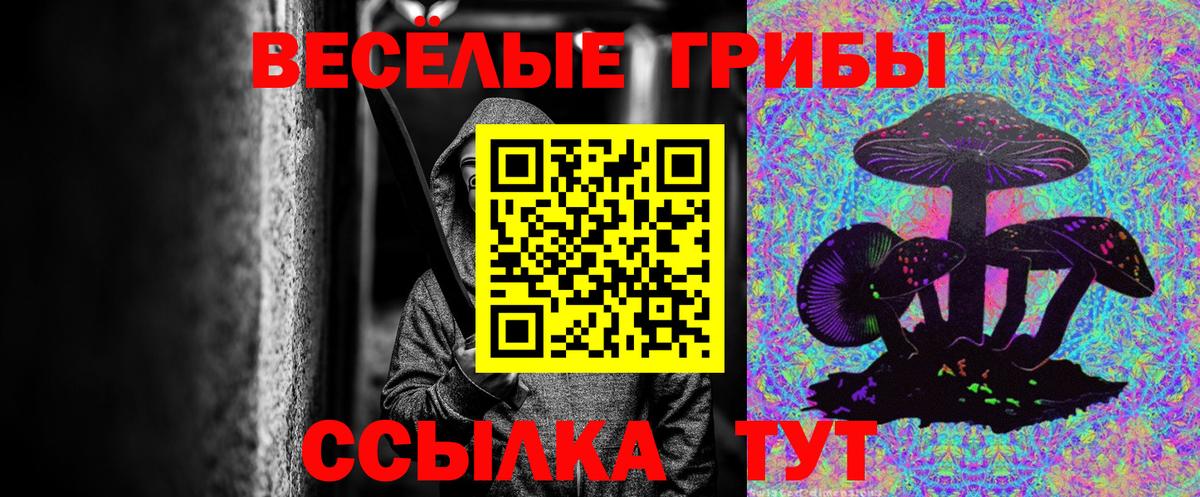 Бугуруслан  Псилоцибиновые грибы Psilocybe  Вход с VPN 